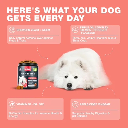 Miniatura 4 de Masticables para tratamiento de pulgas y garrapatas para perros, prevención de pulgas y garrapatas para perros, masticables para pulgas