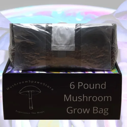 Miniatura 4 de Bolsa de cultivo de hongos todo en uno Jumbo de 6 libras