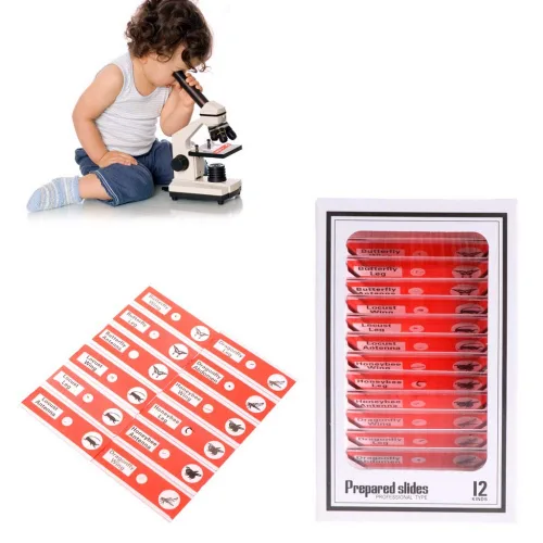 Miniatura 6 de Diapositivas de microscopio preparadas para niños, 48 piezas de animales de plástico, insectos, plantas, flores, muestras de muestras para 48