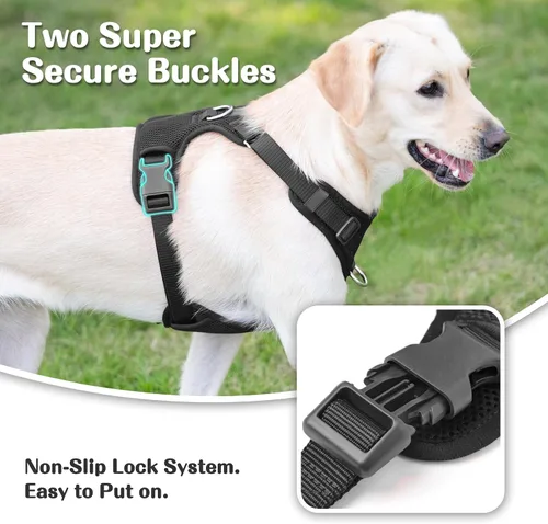 Miniatura 4 de Arnés sin tirones para perros pequeños, medianos y grandes, chaleco de malla ajustable de 2 capas con doble clip, a prueba de escapes, liberación