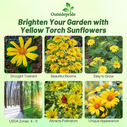 Miniatura 2 de Outsidepride Yellow Torch - Semillas de girasol mexicano – 500 piezas anuales, fáciles de cultivar, semillas de flores amarillas Tithonia Speciosa