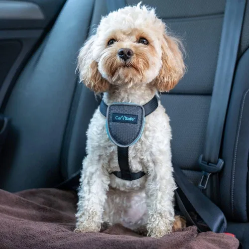 Miniatura 2 de CarSafe Arnés de viaje para perro, seguro de forma segura para perro en el automóvil, garantiza leyes de carretera y términos de seguro cuando