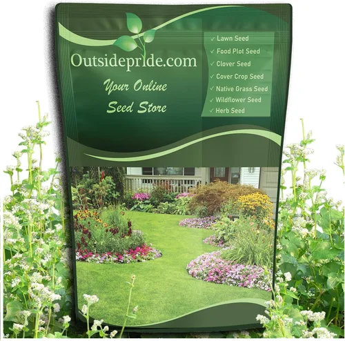 Outsidepride Semillas de trigo sarraceno – Semillas anuales de 1 libra, de crecimiento rápido, fáciles de cultivar, semillas de cultivo de cobertura