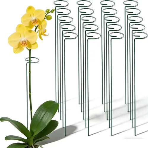 Miniatura 8 de 20 piezas de 16 pulgadas verdes de un solo tallo para plantas de jardín, anillos de soporte de flores, accesorios para amarilis, orquídeas, lirios