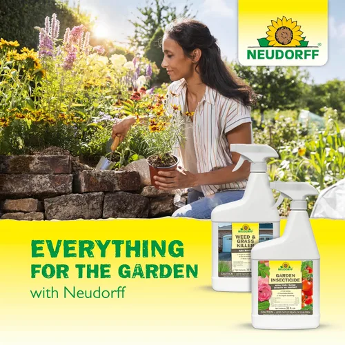 Miniatura 9 de Neudorff Spray fungicida para plantas, fungicida de jabón de cobre para rosas, frutas y verduras para controlar el moho polvoriento y otras
