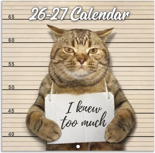 Calendario de pared 2026 – enero 2026 – diciembre 2026, calendario divertido de gato 2026, calendario de 12 meses, fotos divertidas de memes de