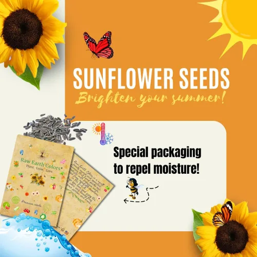 Miniatura 2 de Semillas de girasol de mamut para plantar, para plantar alrededor de 500 girasoles gigantes, paquete a granel de semillas de girasol, semillas