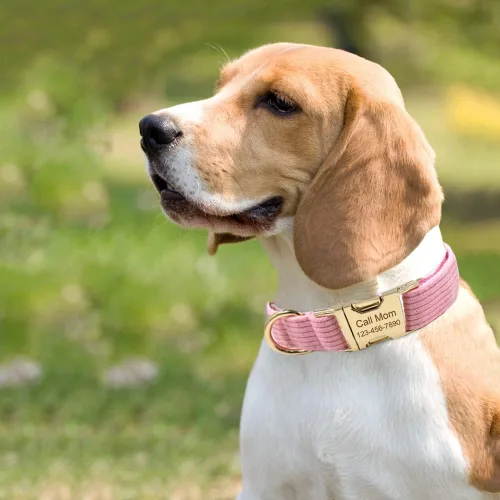 Miniatura 5 de Collares de perro personalizados con hebilla de metal, etiquetas de nombre personalizadas para mascotas para razas de niños y niñas pequeños