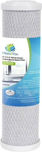 CFS Cartucho de filtro de agua de bloque de carbono de 10 x 2.5 pulgadas de 5 micrones compatible con modelos WCBCS975-RV - Filtro de repuesto -