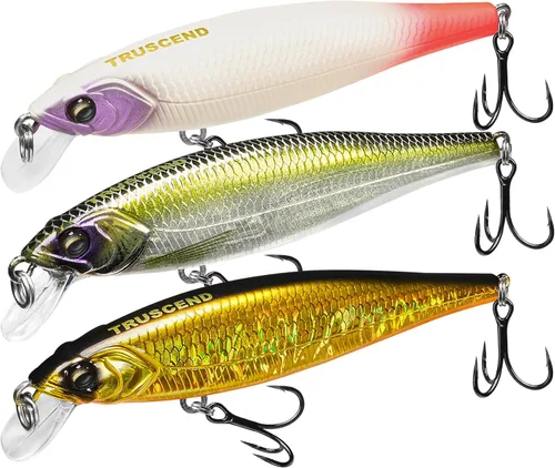 TRUSCEND Suspending Jerkbait, Rattle Minnow Lures with BKK Hooks, Freshwater Bass Trout Striper Walleye Pike Fishing Lures, Variety Pack for All