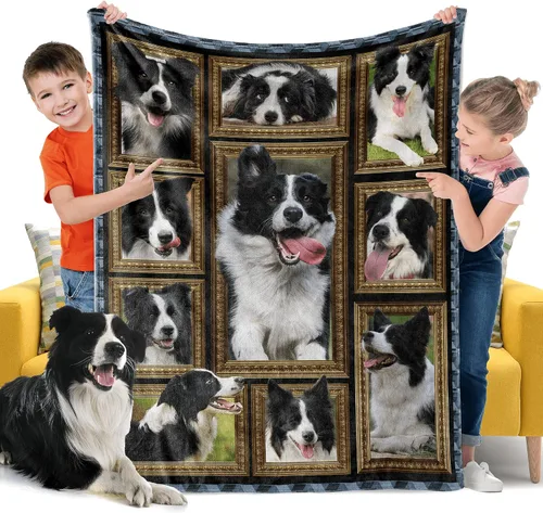 Border Collie - Manta para niños, regalos para los amantes de los perros, 40 x 50 pulgadas, mantas para niños pequeños y bebés para sofá, cama y