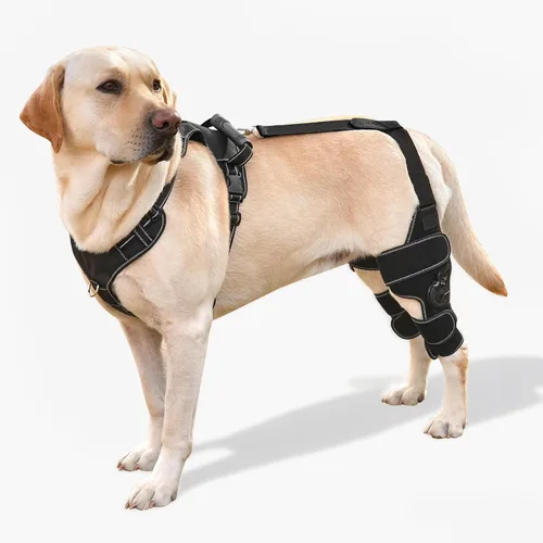 Miniatura 10 de Rodillera para perro con soporte ajustable – Recuperación de desgarros ACL y CCL, estabilización poscirugía, ayuda de movilidad para piernas