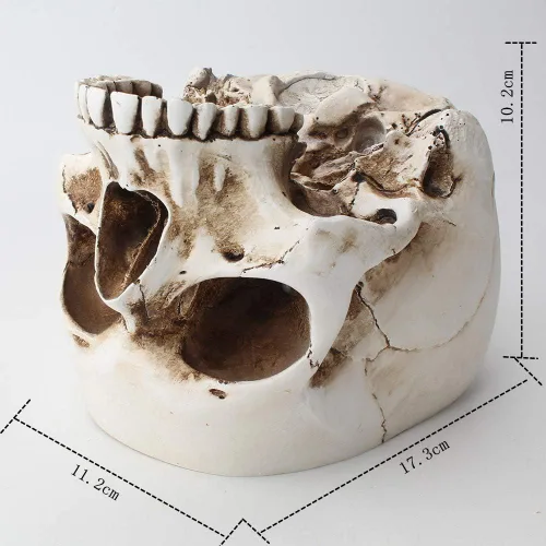 Miniatura 5 de Mikayoo Soporte para bolígrafo de calavera, soporte para brochas de maquillaje, soporte para bolígrafos, tocador, escritorio de oficina, caja