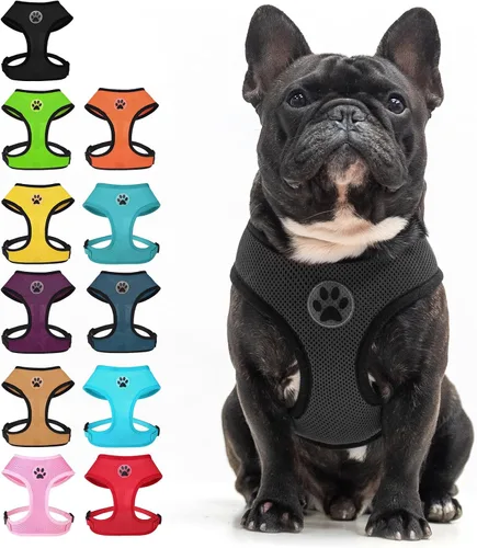 Miniatura 13 de BINGPET Arnés para perro sin tirones, arnés de chaleco tipo step-in de malla para todo clima para perros pequeños, arnés de malla transpirable
