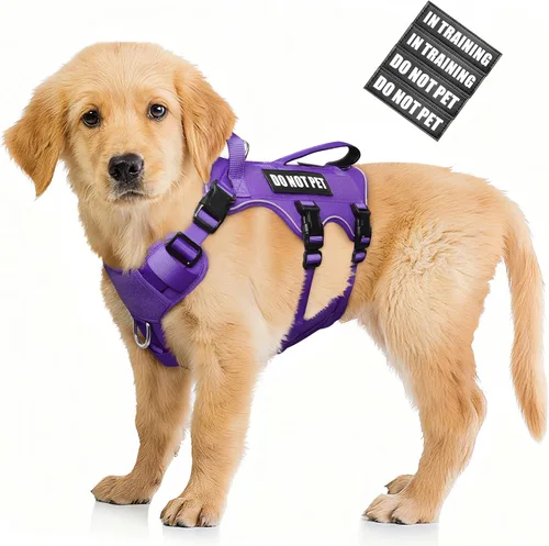 Miniatura 22 de WINSEE - Arnés para perro a prueba de fugas, arnés Molle de servicio y trabajo con doble asa, chaleco táctico para mascotas con 4 parches