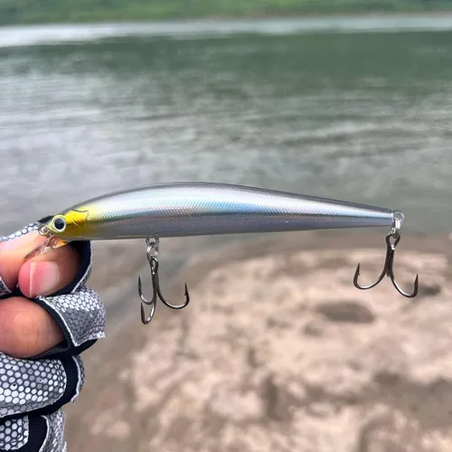Miniatura 6 de Minnow - Juego de señuelos de pesca, cebos duros con colores vibrantes para trucha, lubina, perca, ideal para pesca de arroyo y lago, 5 piezas