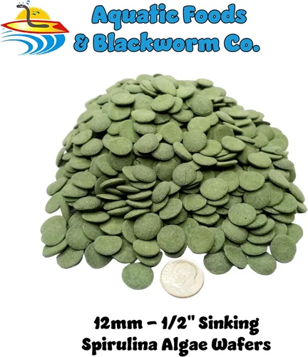 Miniatura 2 de Obleas de espirulina, algas y verduras de 0.472 in - 1/2 pulgada pequeña oblea de hundimiento para camarones, caracoles, cangrejos, cangrejos