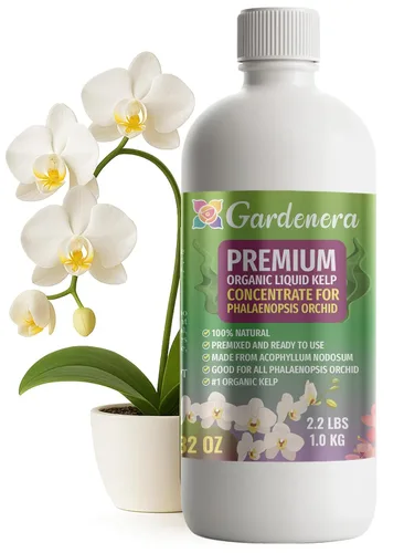 Miniatura 66 de GARDENERA Superalimento orgánico prémium de algas marinas y algas marinas para plantas AGLAONEMA, 8 onzas, concentrado de fertilizante líquido
