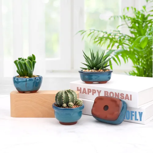 Miniatura 7 de kilofly Happy Bonsai - Juego de 4 macetas esmaltadas con 4 pantallas de drenaje de malla suave