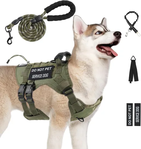Arnés táctico sin tirones para perros grandes, juego de arnés y correa para perro, Molle a prueba de escapes, arnés ajustable para perro de servicio