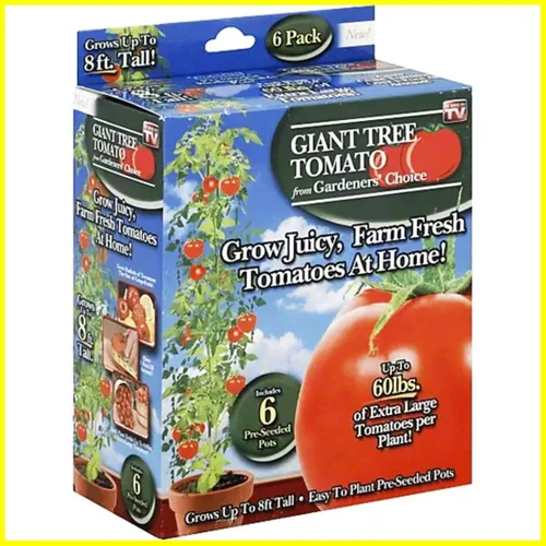 Miniatura 6 de Gardeners' Choice - Árbol de tomate gigante
