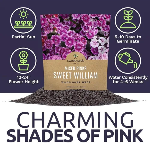 Miniatura 6 de Semillas Sweet William - Colores rosados mezclados - Paquete extra grande de 1 onza - Más de 30,000 semillas de flores polinizadas abiertas sin OMG