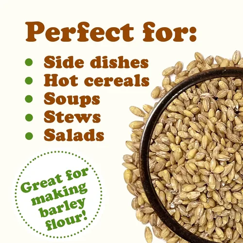 Miniatura 6 de Food to Live Grano de cebada descascarada, 1 libra, 100% grano entero, vegano, ideal para hornear en casa, elaboración de cerveza, molienda. Rico