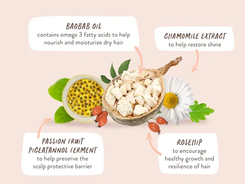 Miniatura 9 de Babo Botanicals Defining Baobab & Rosehip Shampoo + Bundle with Conditioner – For extra dry, curly hair – Smooth & Define – Passion Fruit Ferment