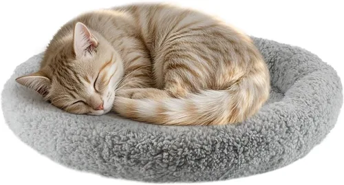 Miniatura 12 de Tapete de cama pequeño para gatos, cojín de felpa de 22 x 16 pulgadas con almohada circundante para perros pequeños a medianos, gatos, camas
