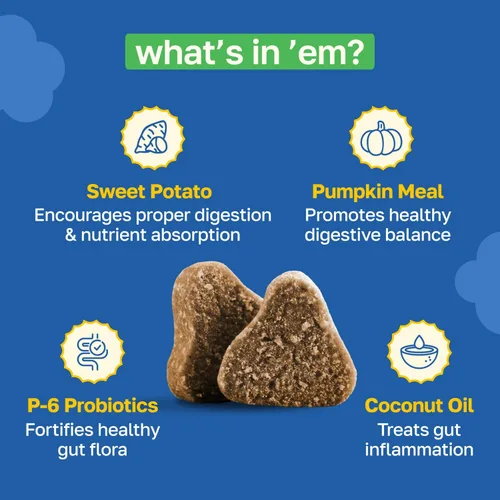Miniatura 3 de Happy Paws Apoyo probiótico para la salud intestinal para perros, masticables suaves con probióticos, semillas de calabaza, batata, hinojo, aceite