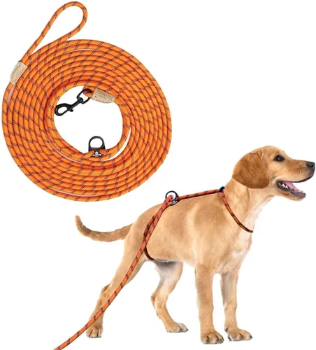 Miniatura 6 de Correa larga de 12 pies para perro, sin tirones, sin estrangulamiento, antitirones, para caminar, doble gancho y a prueba de escapes para todas