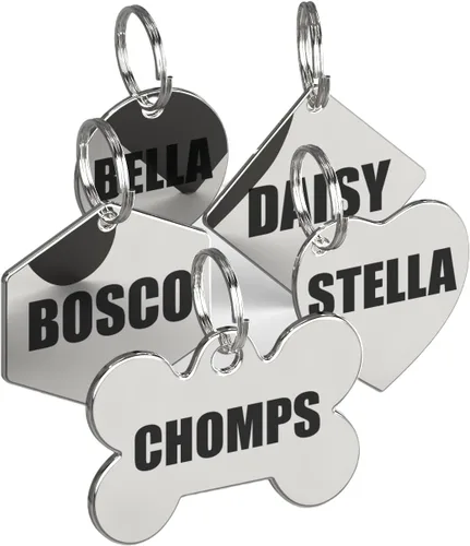 Etiquetas de identificación de acero inoxidable Dr. Fremont's para perros grabadas, personalizadas para collar de gato o perro, fuente audaz para