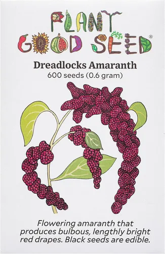 Miniatura 6 de Plant Good Seed Semillas orgánicas de tinte rojo hopi para plantar: hojas comestibles y semillas negras, flores rojas escarlatas, paquete de 600