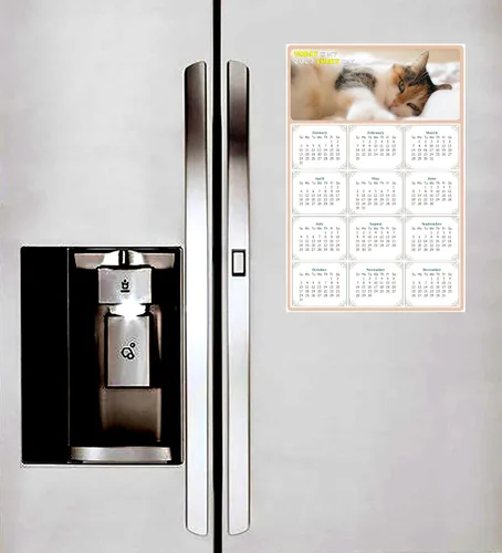 Miniatura 4 de Calendario magnético 2024 – Imanes del calendario – Today is my Lucky Day – Resistente a la decoloración, desgarros y agua – Temática de gato 04