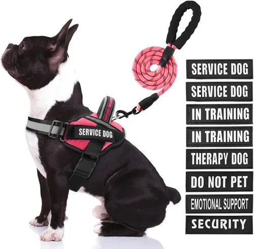 Miniatura 9 de Juego de arnés y correa para perro de servicio, arnés de entrenamiento para perro Animire con 10 parches para perros, correa reflectante para perro