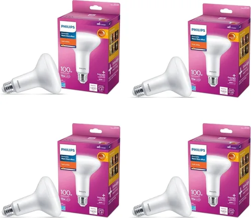 PHILIPS LED Paquete de 4 bombillas BR30 de 100 W, color blanco suave (2700 K) 1400 lúmenes (15 W = 100 W) regulables esmeriladas sin parpadeo
