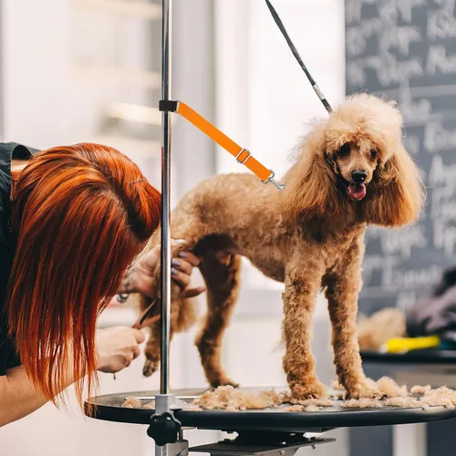 Miniatura 5 de Paterr 5 piezas de accesorios de brazo de aseo para perros y mascotas, correa de extensión, bucles de aseo ajustables, extensor de brazo de aseo