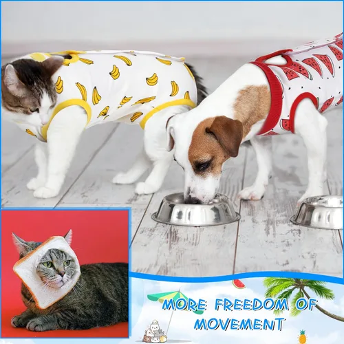 Miniatura 4 de Kacctyen Juego de 6 Trajes de Recuperación para Gatos Después de Cirugía Hembra y Macho Gatito Traje de Cirugía Alternativa al Collar E Pijama Ropa