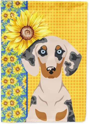 Miniatura 130 de Caroline's Treasures WDK5331CHF - Bandera de verano con diseño de girasoles rojos y blancos, manga grande, para porche, para colgar en la pared