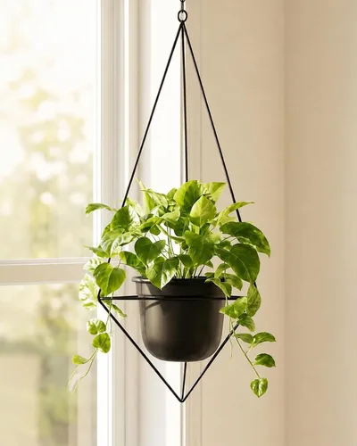 Bamworld Black Hanging Planters for Indoor Outdoor Plants Metal Hanging Pots for Plants 5 Inch Modern Hanging Basket Window Plant Hanger Ceiling