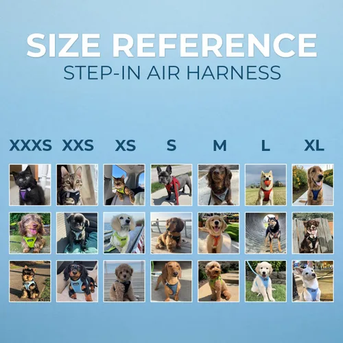 Miniatura 24 de Best Pet Supplies Voyager Step-in Air Arnés – Malla para todo clima, reflectante, arnés antitirones para perros y gatos, seguro con cierre de gancho