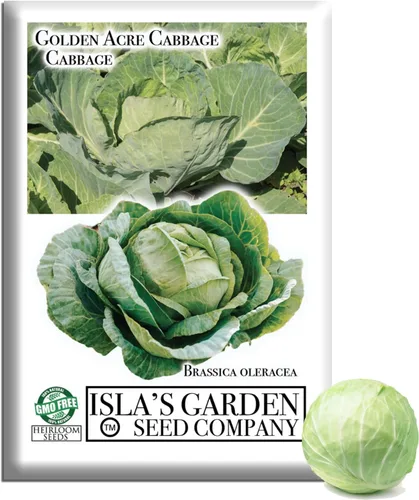Semillas de col Golden Acre (Brassica oleracea) – Más de 1000 semillas de reliquia sin OMG de Isla's Garden Seeds, maduración temprana y cabezas
