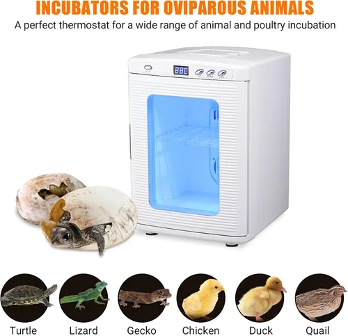 Miniatura 3 de Incubadora de huevos de 25L para incubar huevos, incubadora digital de reptiles con control inteligente de temperatura de 10 a 140.0 °F, incubadora