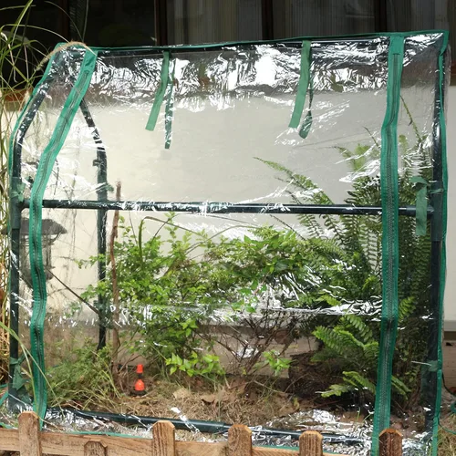 Miniatura 7 de Gardzen Mini invernadero de alta resistencia, portátil, con cremallera, tienda transparente para interiores o exteriores, para plantas, 36.2
