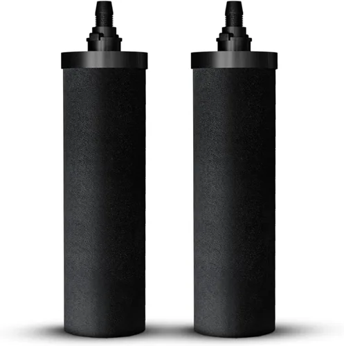 Filtros de repuesto de carbono certificados NSF (PF-4) – Paquete de 2 filtros para filtros de agua Phoenix Gravity, repuesto para Berkey® BB9-2,