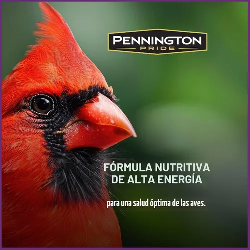 Miniatura 4 de Pennington - Songbird Nut & Fruit - Mezcla de semillas para pájaros silvestres, 10 libras
