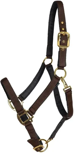 Miniatura 9 de Dura-Tech Cabestro de caballo de nailon totalmente acolchado Cabestro para caballo diseñado para evitar rozaduras Corona y bordillo de caballo