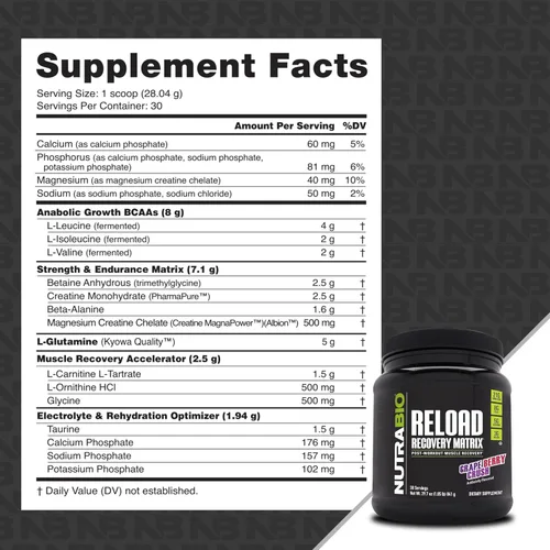 Miniatura 2 de NutraBio Reload - Potente fórmula de recuperación muscular - Suplemento después del entrenamiento - Creatina 3G - 8G BCAAs - Glutamina 5G - 30