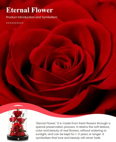 Miniatura 7 de DENIMOMO Rosas para el día de la madre, rosas preservadas rojas en cúpula de cristal, rosas reales para el día de la madre, regalos para esposa