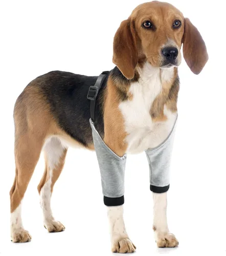 Miniatura 4 de Rodillera protectora de pierna delantera, fácil de llevar, suave y cómodo, protector de codo de perro para perros pequeños, medianos y grandes